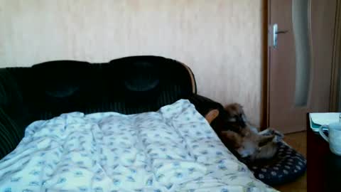 Snapshot of lilithris chatting on April 2026 12:28:01 PM Lenkaa777 online show from April 2026 12:28:01 PM