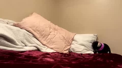 Kitty online show from September 2025 03:56:01 PM