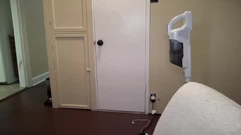 Snapshot of lilly_adams88 chatting on February 2025 04:31:01 AM lilly_adams88 online show from February 2025 04:31:01 AM