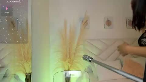   online show from February 2025 05:09:01 PM