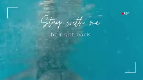 Lily online show from November 2025 12:27:02 PM