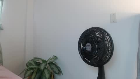 lily_rose0 online show from June 2026 08:04:01 PM