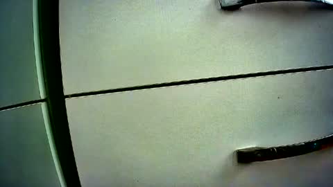 Snapshot of lilylovelyman50 chatting on August 2026 08:57:01 AM lilylovelyman50 online show from August 2026 08:57:01 AM