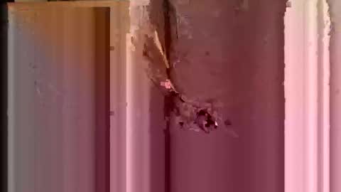 Snapshot of lilythesmooth chatting on February 2026 10:03:02 AM Lilythesmooth online show from February 2026 10:03:02 AM