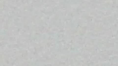 Snapshot of lilyx_ chatting on April 2026 02:46:02 AM lily online show from April 2026 02:46:02 AM