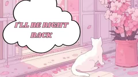 Lin  online show from July 2026 11:31:01 PM