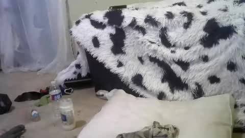 Richie Rich online show from February 2025 12:28:01 PM