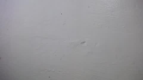 lisa_branch online show from October 2025 10:24:01 AM