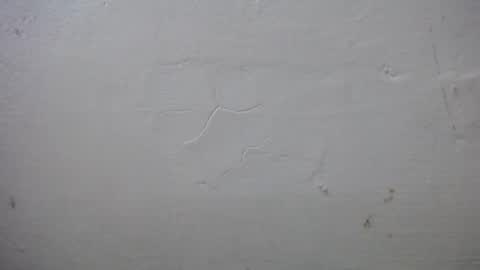 lisa_branch online show from October 2025 07:25:02 PM