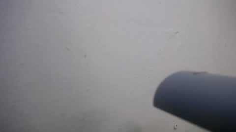 lisa_branch online show from November 2025 07:02:02 PM