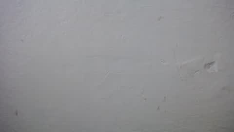 lisa_branch online show from December 2025 11:17:01 AM