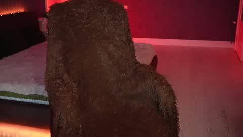 Snapshot of lisa_elfy chatting on March 2026 03:37:02 PM lisa_elfy online show from March 2026 03:37:02 PM