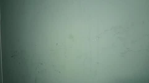 Snapshot of lisa_joseph chatting on April 2026 02:03:02 PM lisa online show from April 2026 02:03:02 PM