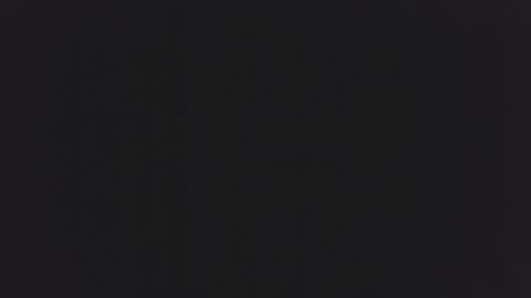 little_anef online show from December 2024 05:38:02 AM