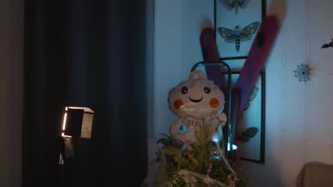 Anita B-day stream on 7TH DEC  online show from October 2025 04:53:02 PM