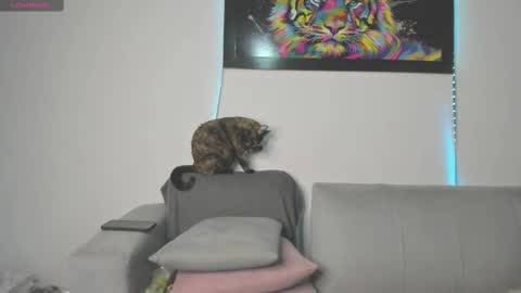 Snapshot of little_caro13 chatting on March 2025 09:26:01 PM Independent model carolina online show from March 2025 09:26:01 PM