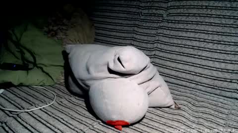 Malej Kmo online show from February 2026 12:40:02 AM