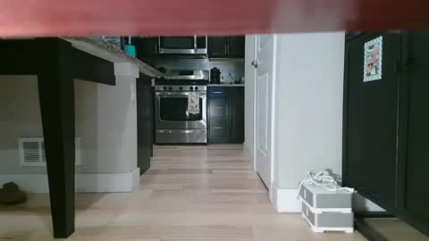 Littlleclitty247 online show from September 2025 09:48:02 PM