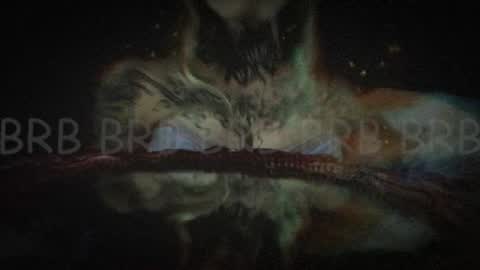 Niki  free tg channel with some photos gifs and info about streams  online show from February 2025 07:41:01 AM