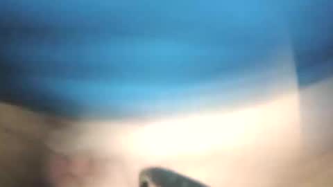 Snapshot of littlestick chatting on January 2026 08:41:02 AM littlestick online show from January 2026 08:41:02 AM