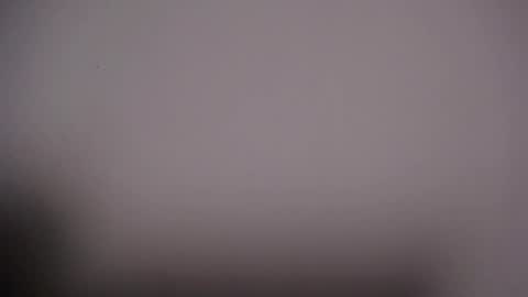 Viki online show from October 2025 07:50:02 AM