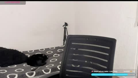 Snapshot of liu_mystik chatting on April 2026 09:38:02 PM Liu help me to reach 100 thumps up daddy online show from April 2026 09:38:02 PM