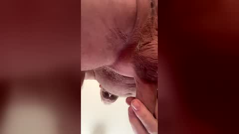 Snapshot of liverpoolfc1986 chatting on February 2026 12:39:02 PM liverpoolfc1986 online show from February 2026 12:39:02 PM