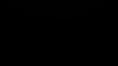 liza honey online show from April 2026 03:51:01 AM