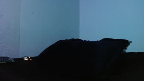 Snapshot of lliamm_2 chatting on September 2025 05:23:01 AM lliamm 2 online show from September 2025 05:23:01 AM