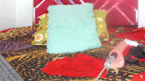 Snapshot of loaisisadaams chatting on February 2026 02:23:01 AM loaisisAdamss online show from February 2026 02:23:01 AM