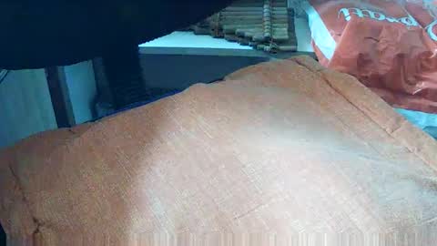 Snapshot of loboxavi chatting on September 2025 01:23:02 PM loboxavi online show from September 2025 01:23:02 PM