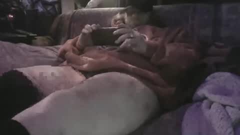 Snapshot of loki180 chatting on April 2026 09:58:02 AM Sean online show from April 2026 09:58:02 AM