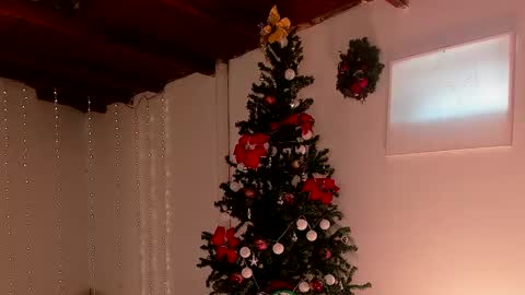 Snapshot of lola_cocks chatting on December 2024 07:56:01 PM mara online show from December 2024 07:56:01 PM