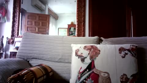 Snapshot of lolahueso chatting on February 2025 09:33:01 AM LOLA HUESO y ERIC online show from February 2025 09:33:01 AM