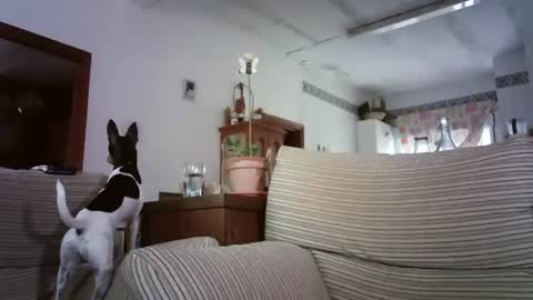 Snapshot of lolahueso chatting on October 2025 08:12:01 AM LOLA HUESO y ERIC online show from October 2025 08:12:01 AM