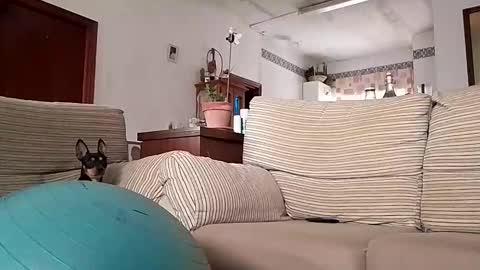 Snapshot of lolahueso chatting on October 2025 08:06:01 AM LOLA HUESO y ERIC online show from October 2025 08:06:01 AM