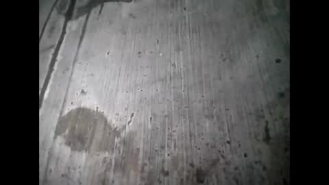 tey online show from September 2025 07:19:01 AM