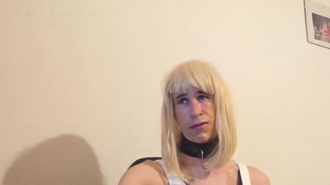 Lola online show from May 2026 06:49:01 PM