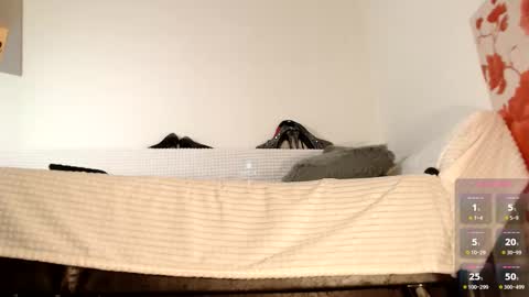 Snapshot of lollatiny chatting on October 2025 06:50:02 AM Miss Lolla online show from October 2025 06:50:02 AM