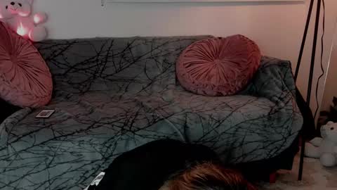 Lolly online show from February 2026 05:16:02 AM