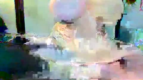 Snapshot of long_dong91 chatting on January 2025 05:10:01 PM Long Dong91 online show from January 2025 05:10:01 PM