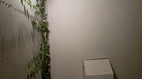 Snapshot of longdick3587 chatting on February 2025 05:14:02 AM longdick3587 online show from February 2025 05:14:02 AM