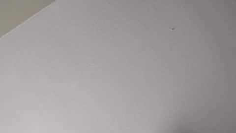 Snapshot of longloadedtx chatting on January 2026 11:09:01 PM Mr. FogoDeChao online show from January 2026 11:09:01 PM