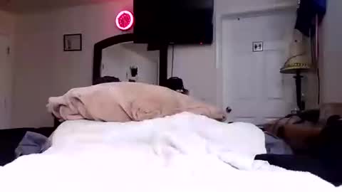 lookatmecum4you online show from October 2025 08:28:01 AM