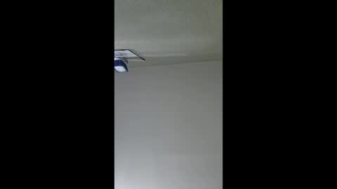 2791 3D online show from December 2025 05:35:01 AM