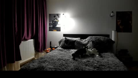 Lora online show from January 2025 06:41:02 PM