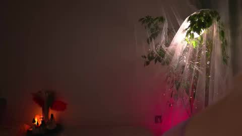 Lorrie online show from September 2025 08:41:02 AM