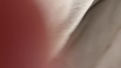 Snapshot of lost_surprise chatting on April 2026 03:56:01 AM lost_surprise online show from April 2026 03:56:01 AM