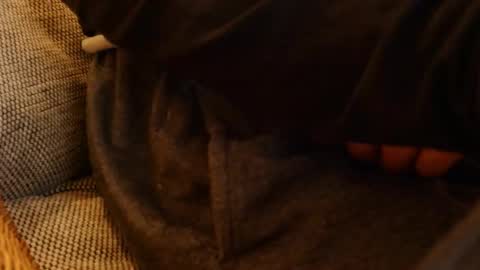 Snapshot of lostinspaxe chatting on November 2025 05:26:01 PM lostinspaxe online show from November 2025 05:26:01 PM