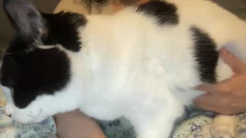 Kate online show from March 2026 12:40:01 PM